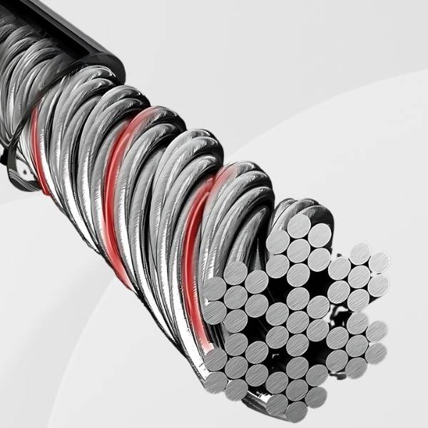 Antivol Voiture acier CarBelt