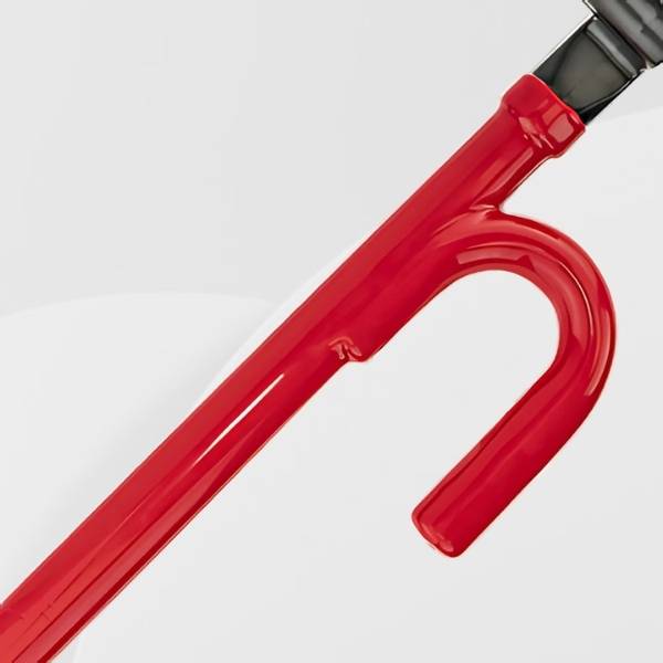 Canne Antivol Voiture universel CarCane