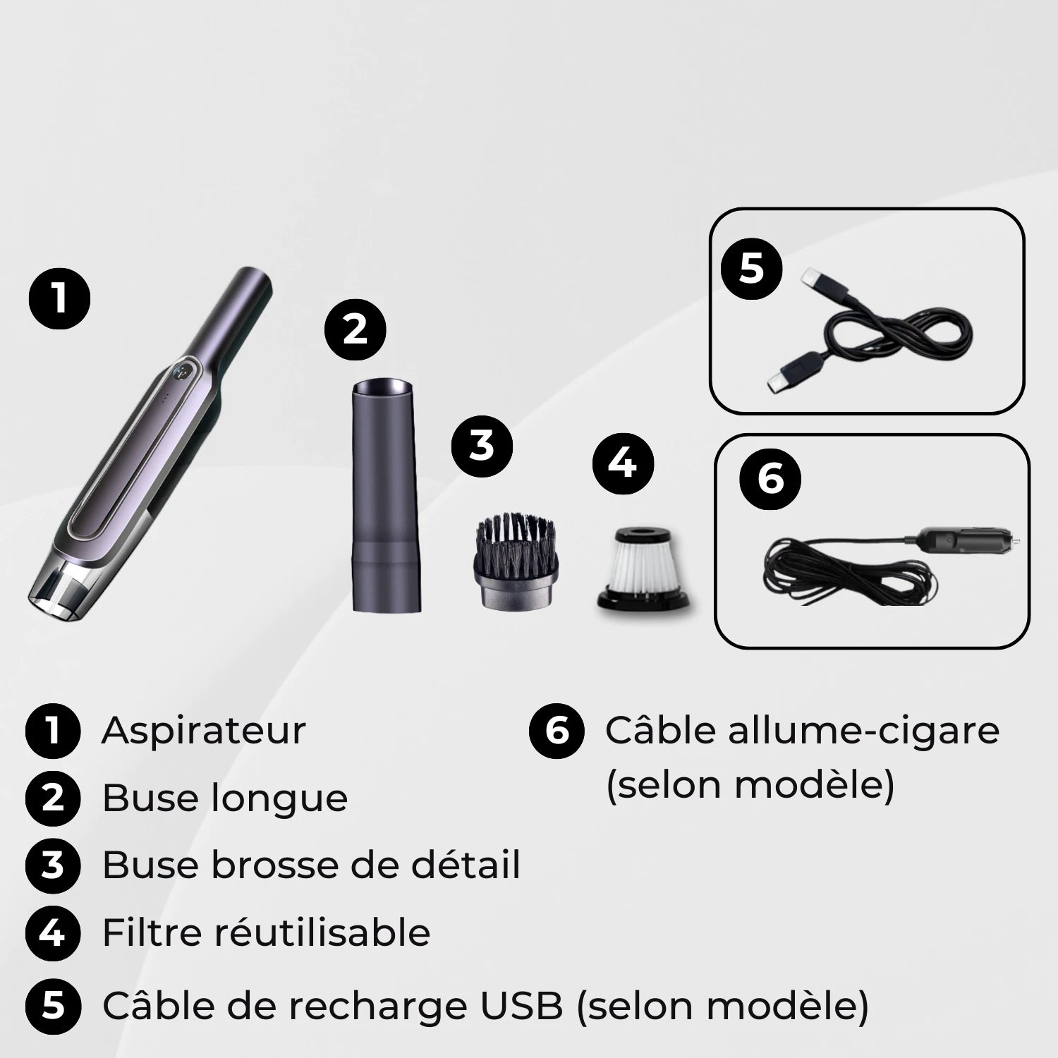 aspirateur voiture a main accessoires fournis Dustor