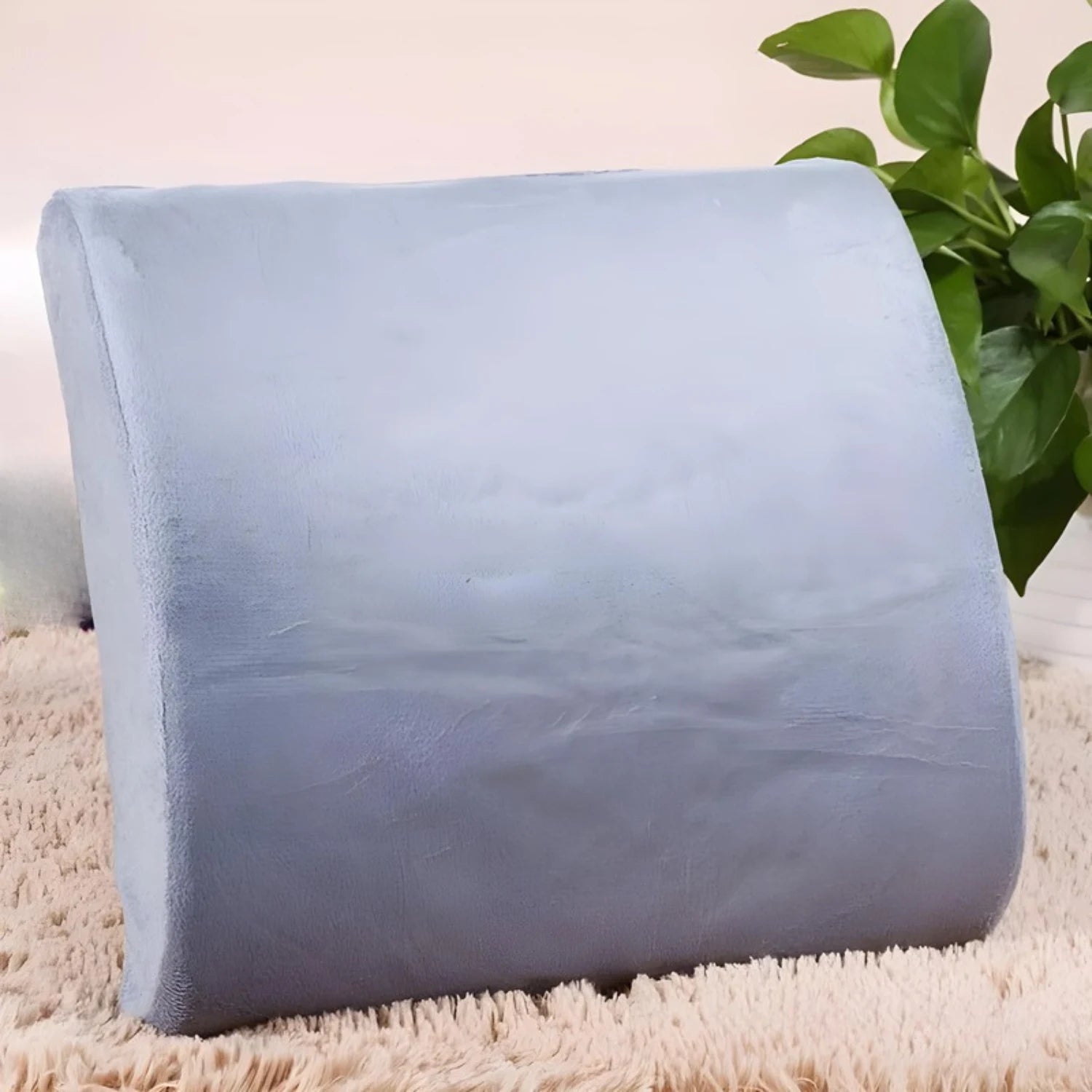 coussin dorsal voiture lombaires BackHelp