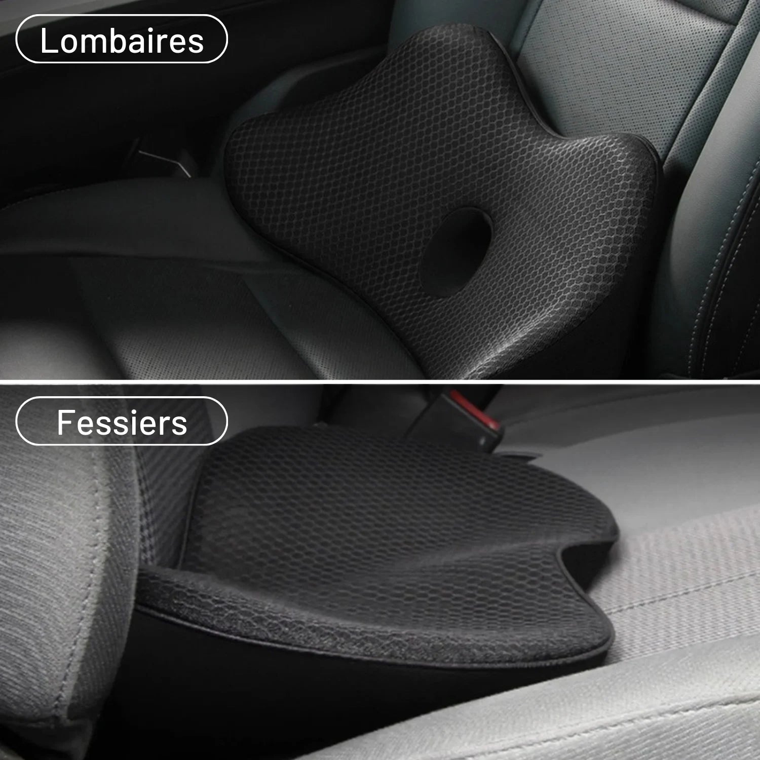 coussin sacrum voiture 2 en 1 fessier lombaire ErgoBoost