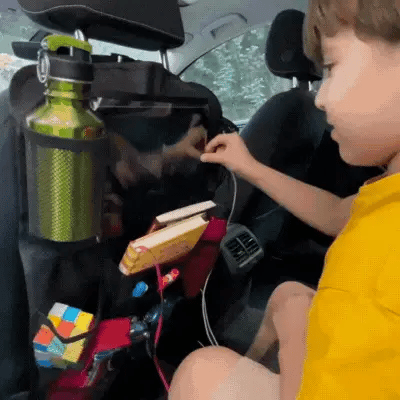 organisateur siege voiture enfant jeux BackPack