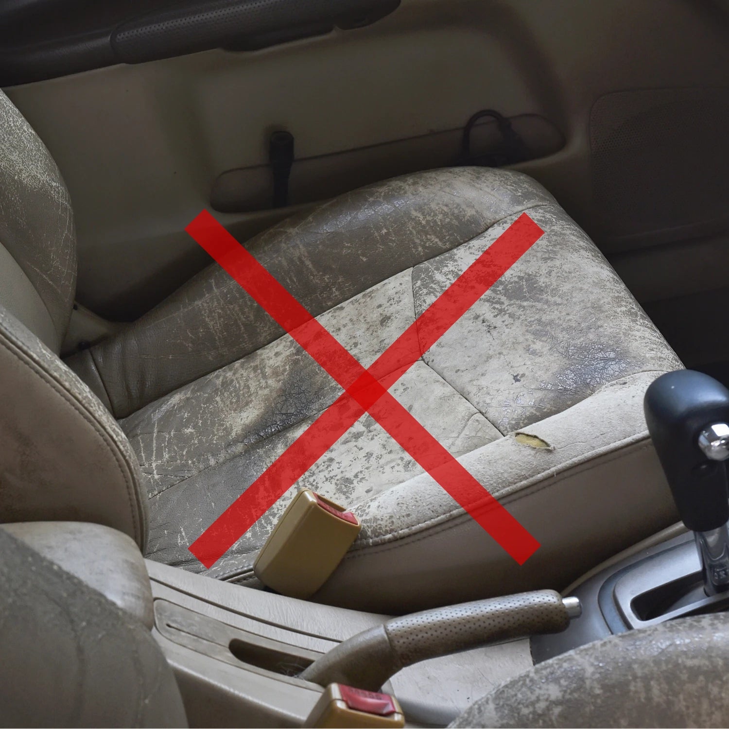 pare soleil voiture résistant BlockSun