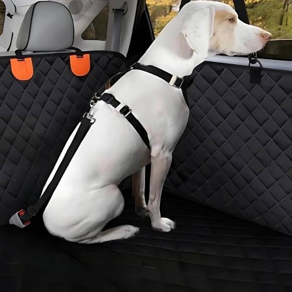 protection chien voiture laisse DogSeat