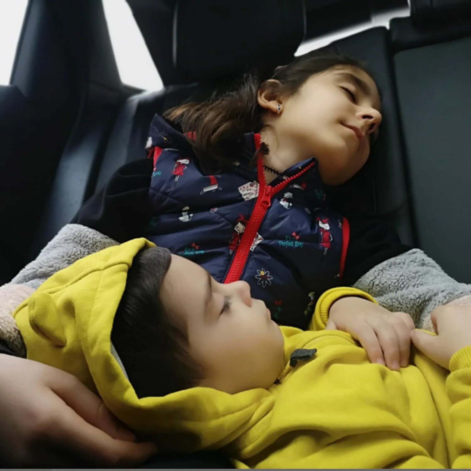 rideau de separation voiture discrétion ShadeEase