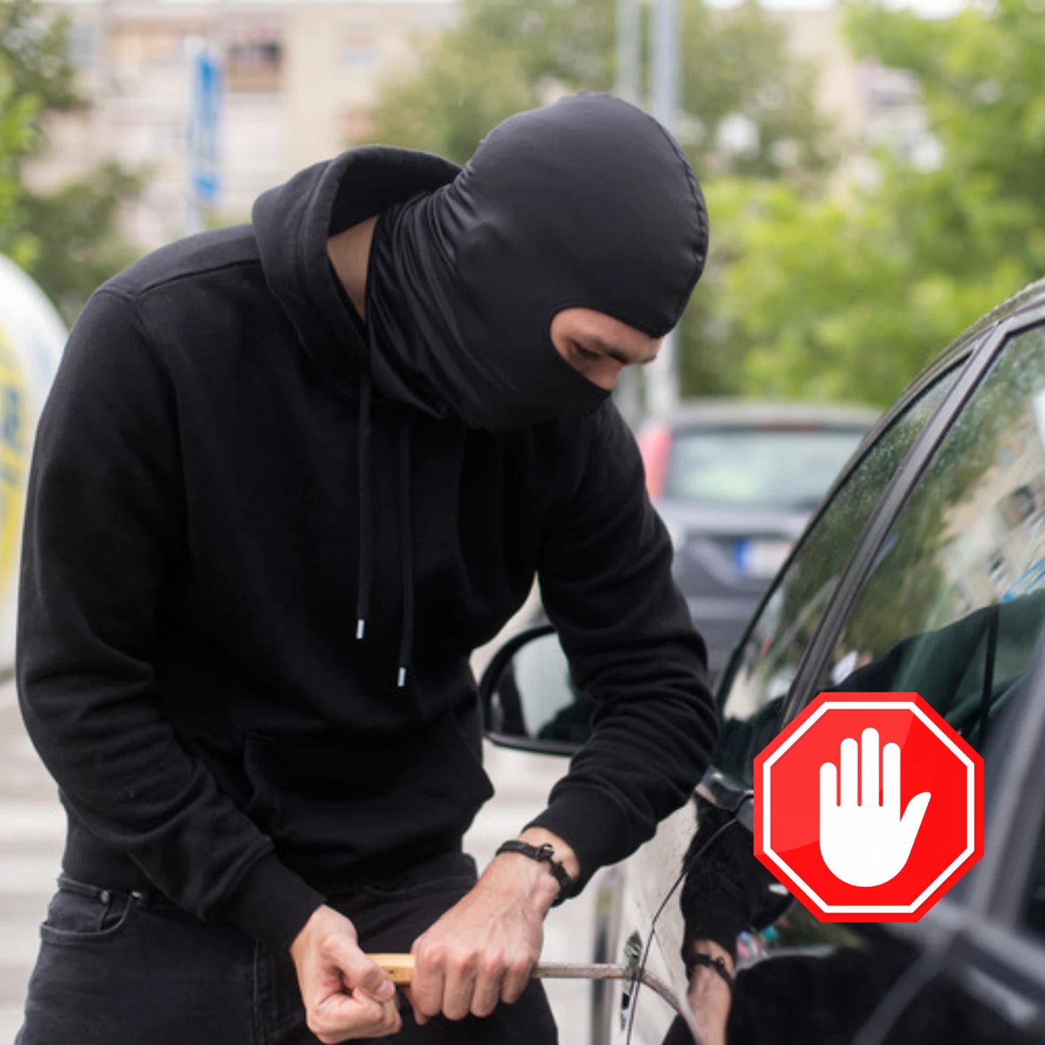 rideaux pare soleil voiture anti vol SunStyle