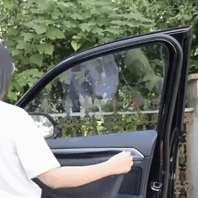 rideaux pare soleil voiture magnetiques SolarSide gif