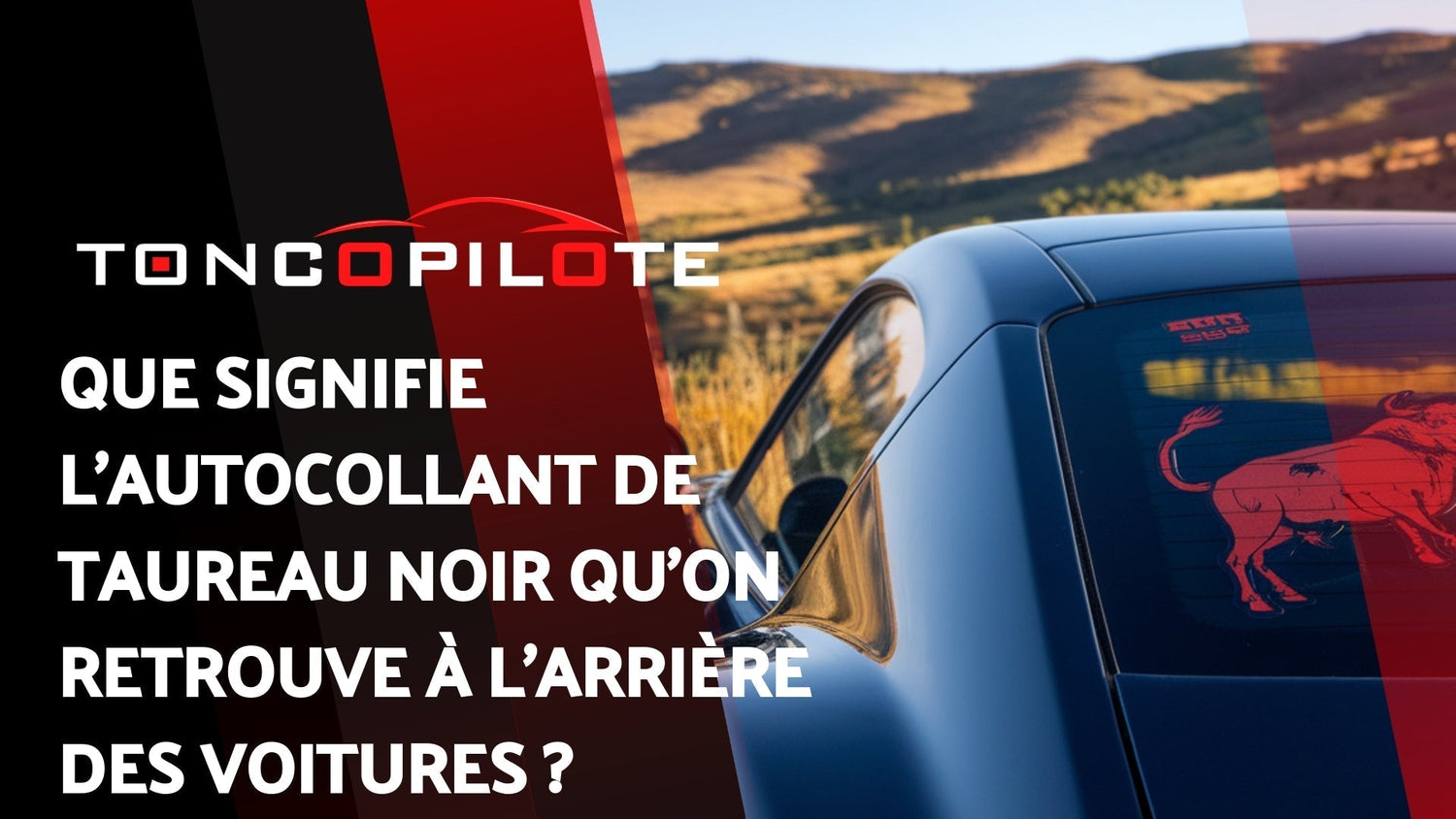 autocollant-taureau-noir-voitures-couverture